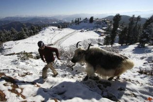 LA GRAN MENTIRA DEL CALENTAMIENTO GLOBAL Nieve_india-cold-weather